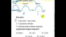 EBA 2017 TESTLER 30 YAY VE SU DALGALARI