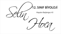 Hayatn Balangc 3