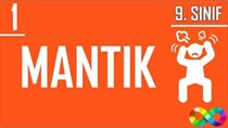 9. Snf - MANTIK