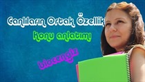 Canllarn Ortak Özellikleri