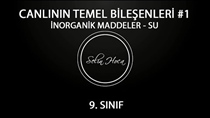 norganik Maddeler - Su