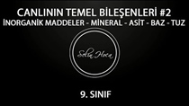 norganik Maddeler-Mineral-Asit-Baz-Tuz