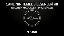 Organik Maddeler 6- Proteinler 1