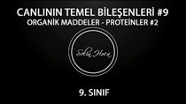 Organik Maddeler 7- Proteinler 2