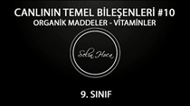 Organik Maddeler 8-Vitaminler