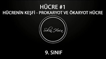 Hücrenin Kefi-Ökaryot-Prokartot Hücre