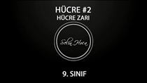 Hücre Zar