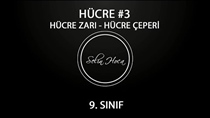 Hücre Çeperi