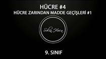 Hücre Zarndan Madde Geçileri 1