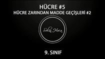 Hücre Zarndan Madde Geçileri 2