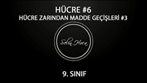 Hücre Zarndan Madde Geçileri 3