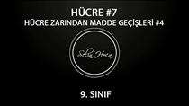 Hücre Zarndan Madde Geçileri 4