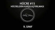 Hücrelerin Karlatrlmas