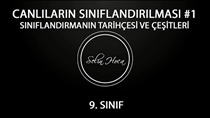 Snflandrmann Tarihçesi ve Çeitleri