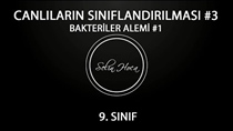 Bakteriler Alemi 1