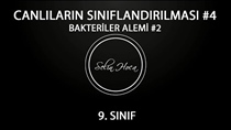 Bakteriler Alemi 2