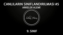 Arkeler Alemi