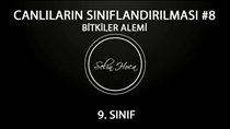 Bitkiler Alemi