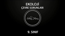 Ekoloji - Çevre Sorunlar