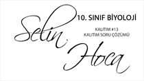 Kaltm 13 - Kaltm Soru Çözümü