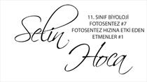 Fotosentez 7 - Fotosentezin Hzna Etki Eden Etmenler 1