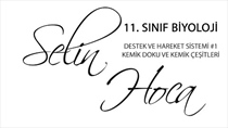 Destek ve Hareket Sistemi 1 - Kemik Doku ve Kemik Çeitleri