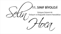 Dolam Sistemi 6 - Dolam ve Baklk Sistemi Hastalklar